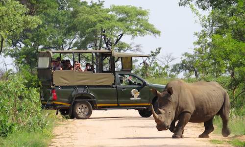 night safari africa