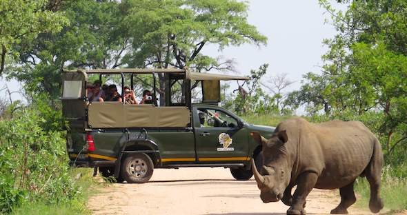 Kruger Park Game Viewing Activities : Day & Night Game Drives